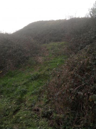 Motte-castrale---Le-tertre-et-le-contrescarpe